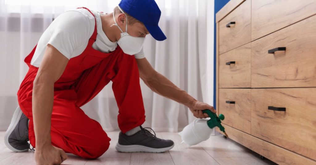 capa dedetizacao em Itaquaquecetuba